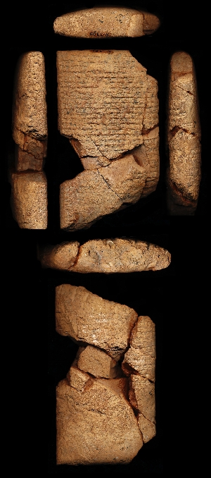 N3393