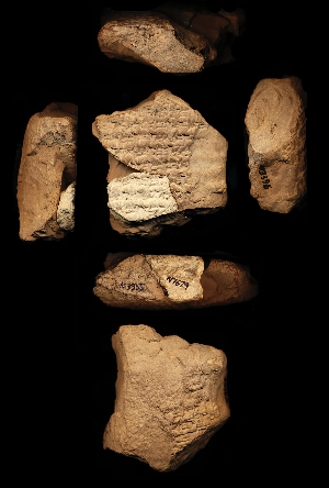 N3396