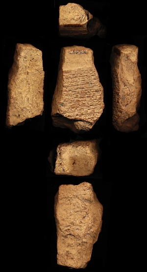N3372