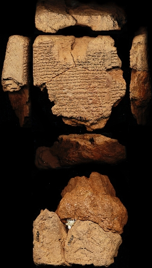 N3411