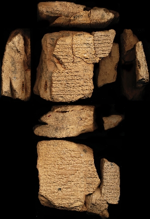 N3421