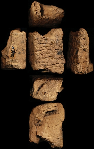 N3451
