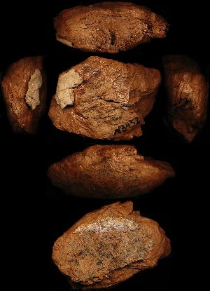 N3452