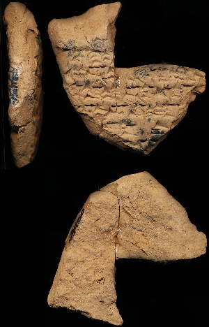 N3456