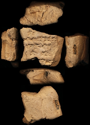 N3479