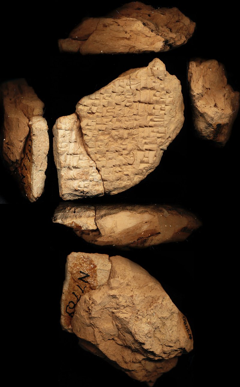 806491