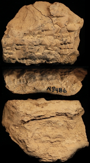 N3486