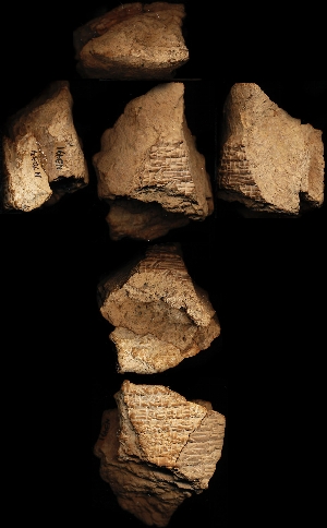 N3491
