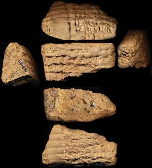 N3493