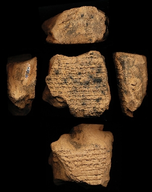 N3536