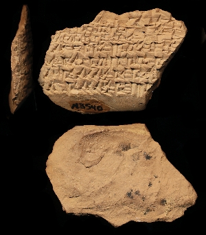 N3540
