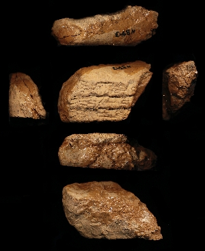N3543