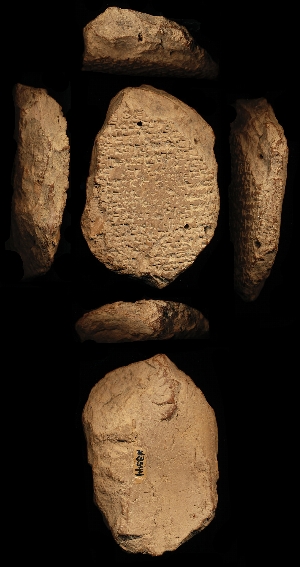 N3544