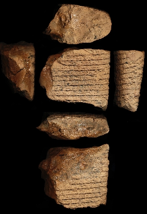 N3546