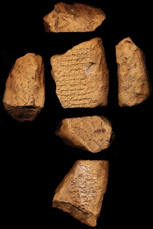 N3552