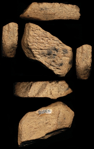 N3555