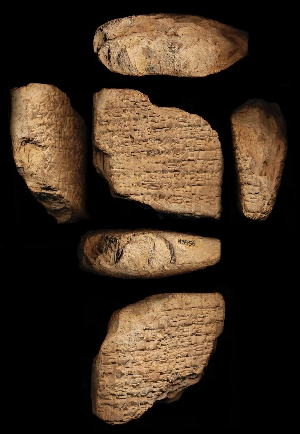 N3556