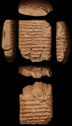 N3560