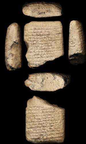 N3561