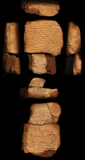 N3562
