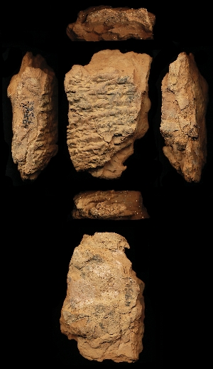 N3564