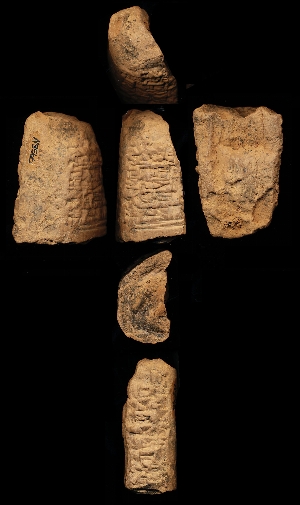 N3566