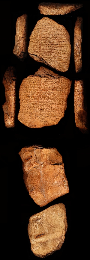 N3571