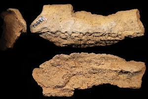 N3582