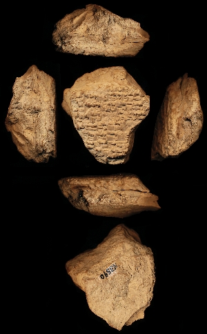 N3590