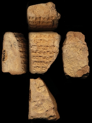 N3596