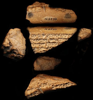 N3599