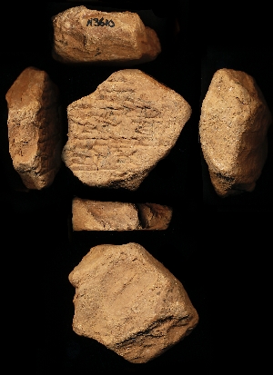 N3610