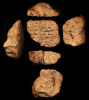 N3614