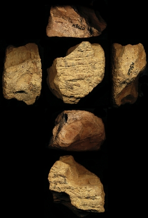N3620