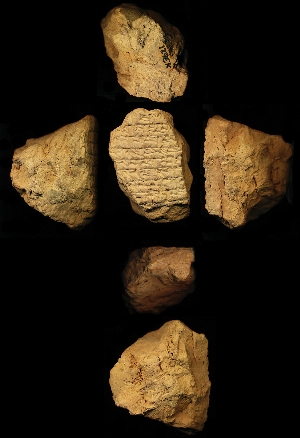 N3621
