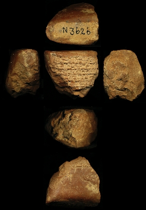 N3626