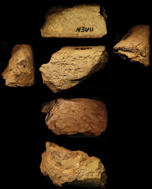 N3641
