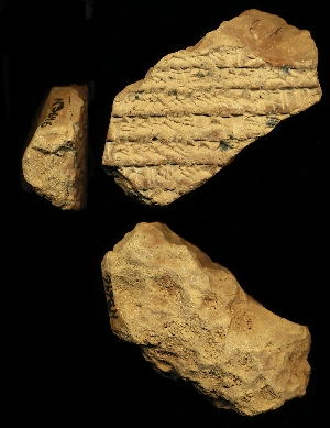 N3646