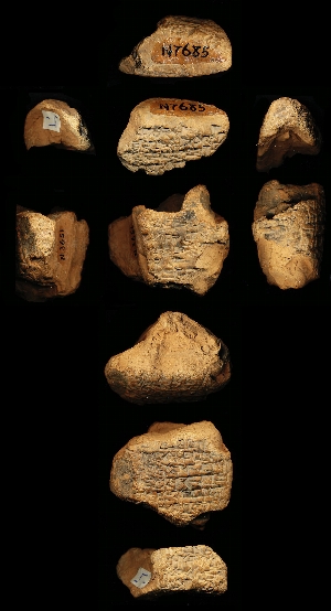 N3651