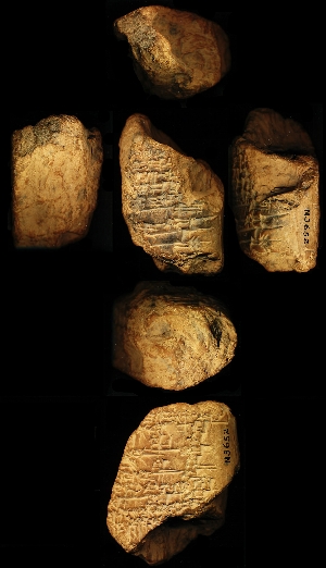 N3652