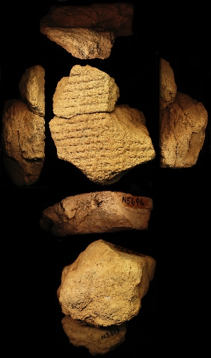 N3659