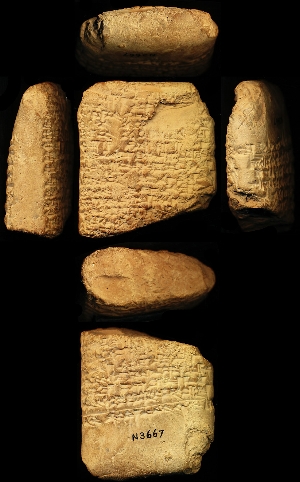 N3667