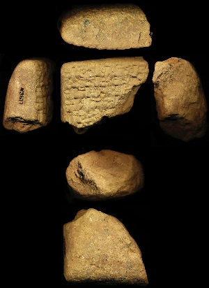 N3677
