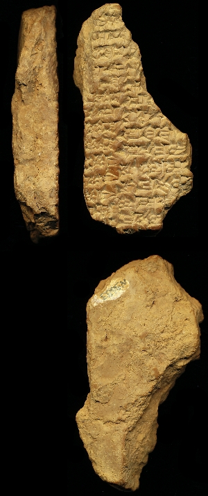 N3683