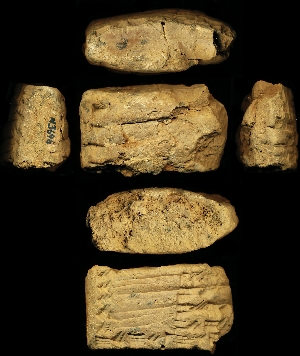 N3696