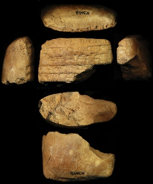 N3698