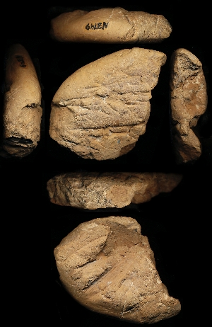 N3749