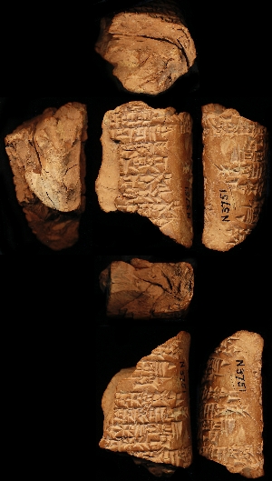 N3751