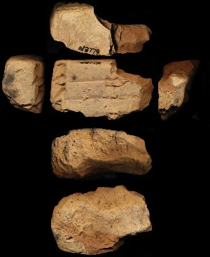N3779