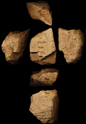 N3790